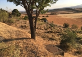 Terreno no urbanizable en venta en la Valdepielagos, Valdepiélagos, ref: TR54661 foto