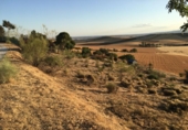 Terreno no urbanizable en venta en la Valdepielagos, Valdepiélagos, ref: TR54661 foto