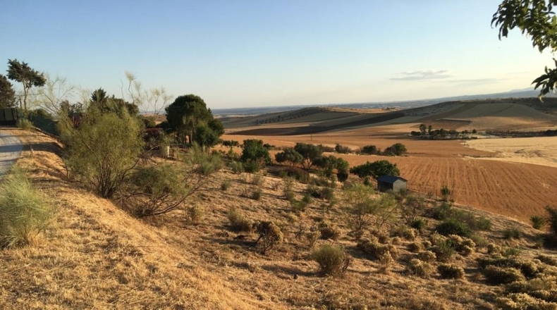 Comunidad de Madrid - Valdepiélagos - 3000m2