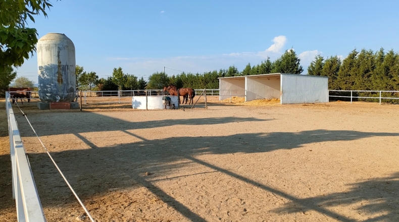 Toledo - Toledo - 30000m2