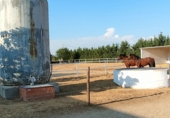 Casa de campo con terreno en venta en la toledo, Toledo, ref: TR54902 foto