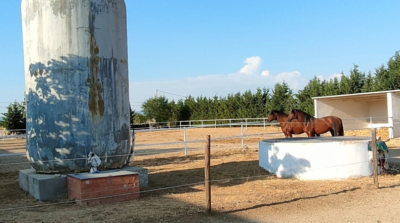 Toledo - Toledo - 30000m2
