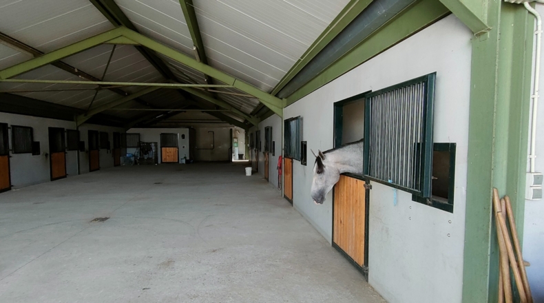 Toledo - Toledo - 30000m2