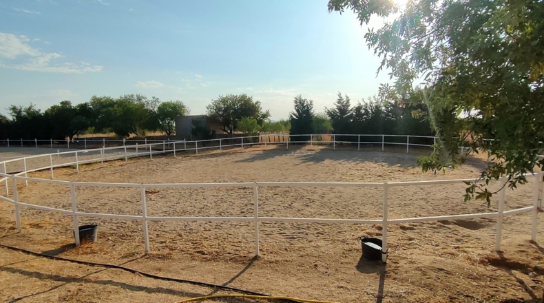 Toledo - Toledo - 30000m2