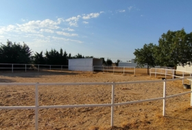 Foto 16