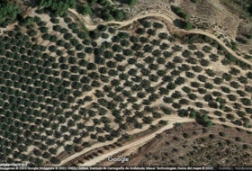 Hinojares 160000&nbsp;м²