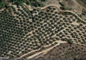 Non-developable land for sale on TRAVESIA AVD DE POZO ALCON 2, Hinojares, ref: TR54903 photo