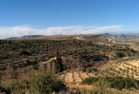 Hinojares 160000&nbsp;м²