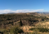 Non-developable land for sale on TRAVESIA AVD DE POZO ALCON 2, Hinojares, ref: TR54903 photo