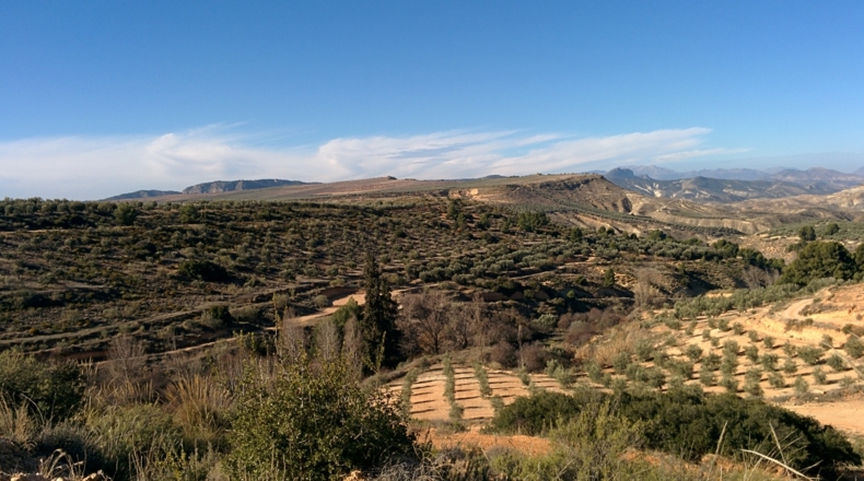 Jaén - Hinojares - 160000m2