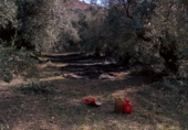 Non-developable land for sale on TRAVESIA AVD DE POZO ALCON 2, Hinojares, ref: TR54903 photo