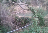Non-developable land for sale on TRAVESIA AVD DE POZO ALCON 2, Hinojares, ref: TR54903 photo