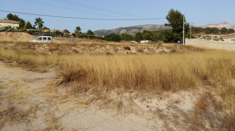 Alicante - Alicante - 809m2