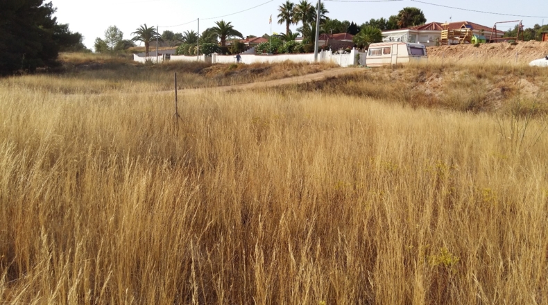 Alicante - Alicante - 809m2