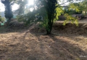 Parcela urbanizable en venta en la Urbanización Riu Clar, Massanes, ref: TR54908 foto