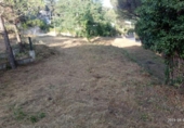 Parcela urbanizable en venta en la Urbanización Riu Clar, Massanes, ref: TR54908 foto