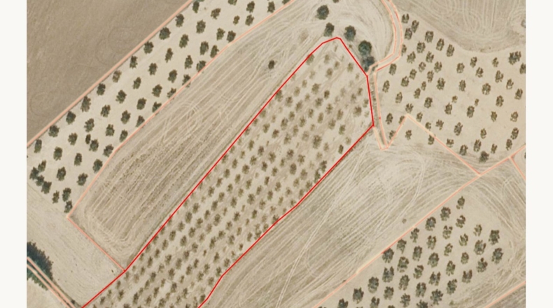 Toledo - Novés - 11200m2