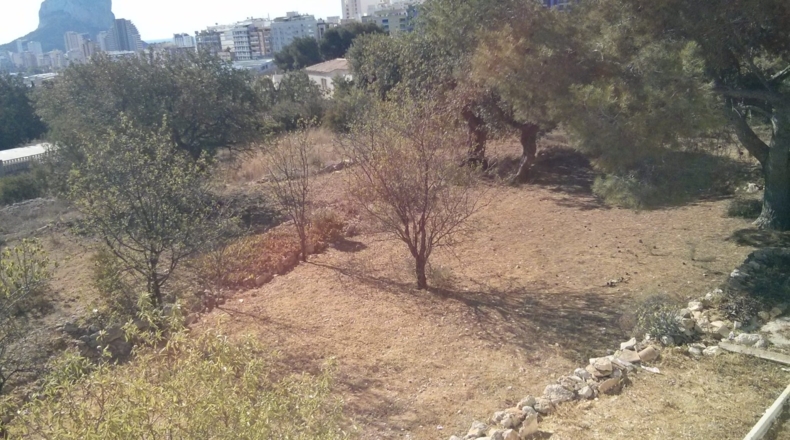 Alicante - Calpe - 3672m2