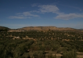 Non-developable land for sale on La Redonda, Férez, ref: TR54918 photo