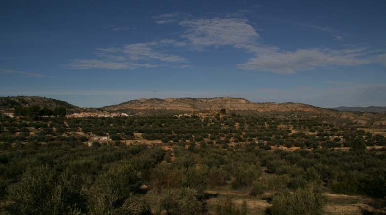 Albacete - Férez - 19200m2