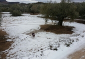 Non-developable land for sale on La Redonda, Férez, ref: TR54918 photo