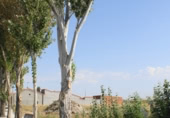 Terreno con Ruinas en venta en la Paredes 14, El Oso, ref: TR55463 foto