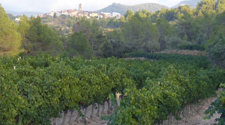 Tarragona - els Guiamets - 1000m2