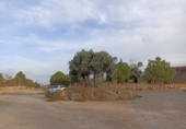 Urban land for sale on Urbanización Los Olivos, La Huertezuela, ref: TR55687 photo