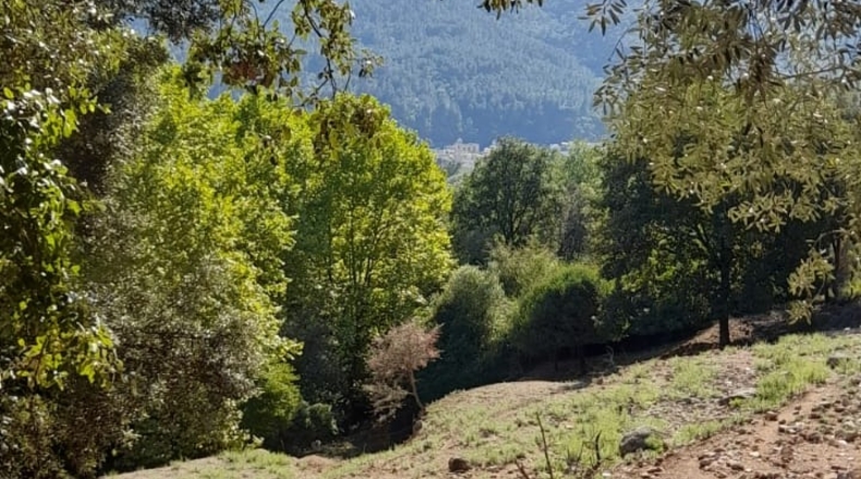 Gerona - Amer - 3500m2