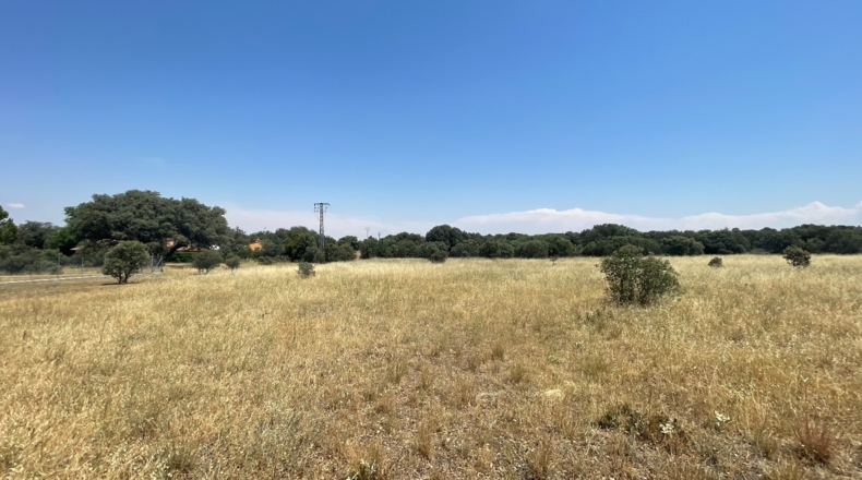 Ávila - Maello - 3620m2