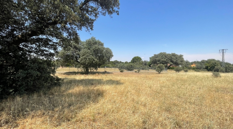 Ávila - Maello - 3526m2