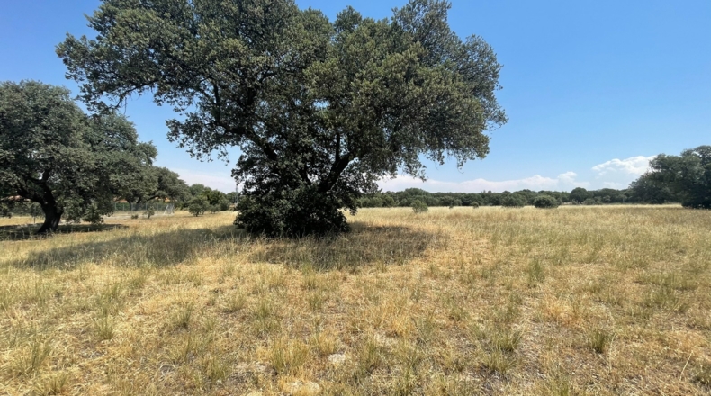 Ávila - Maello - 3526m2