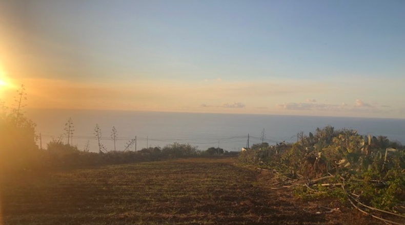 Santa Cruz de Tenerife - Puerto de la Madera - 11405m2