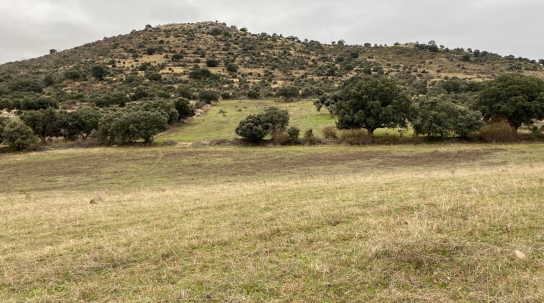 Salamanca - Puente del Congosto - 125000m2