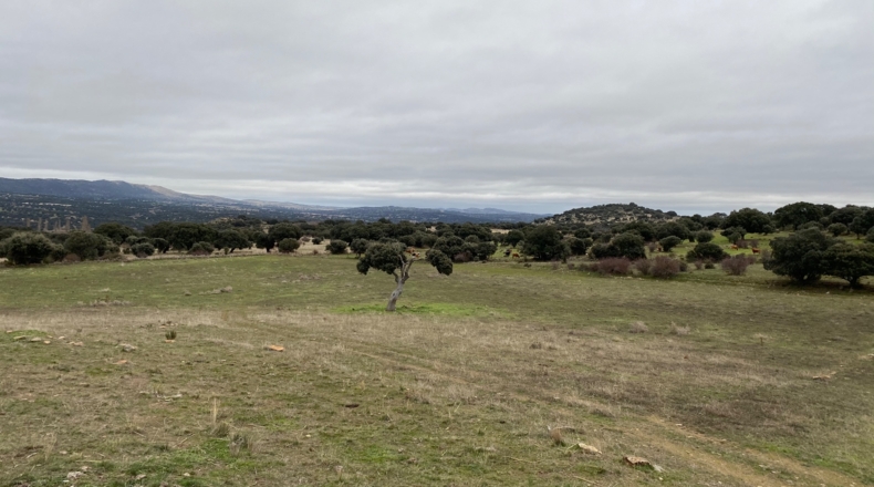 Salamanca - Puente del Congosto - 125000m2