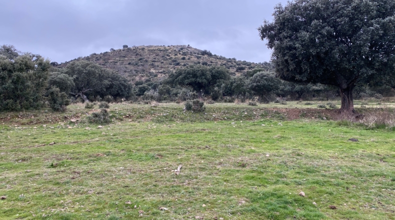 Salamanca - Puente del Congosto - 125000m2