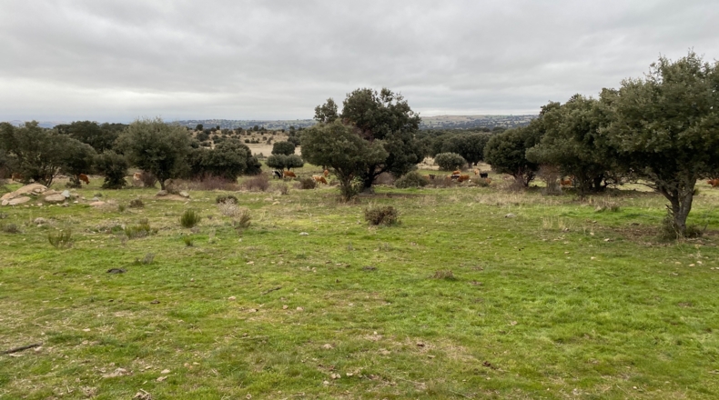 Salamanca - Puente del Congosto - 125000m2