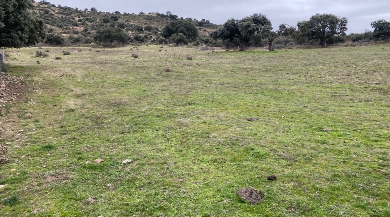 Salamanca - Puente del Congosto - 125000m2