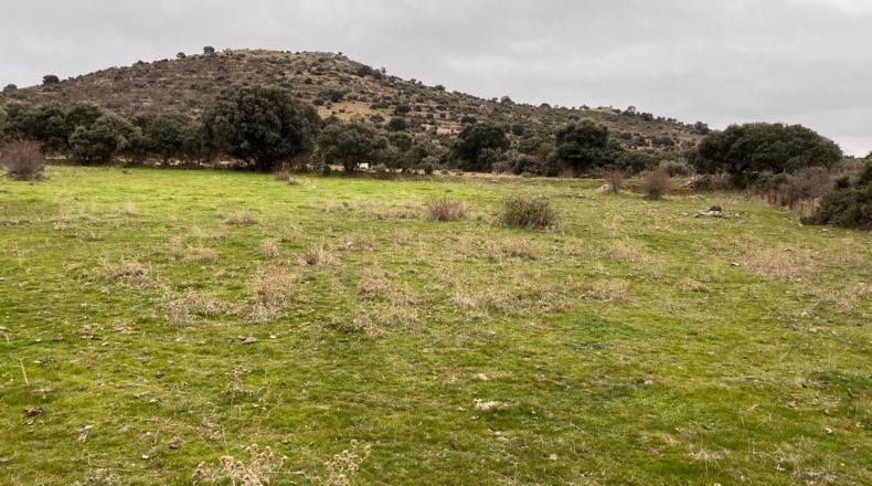 Salamanca - Puente del Congosto - 125000m2