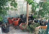 Finca rústica en venda a la La Fuentecilla, Los Santos de la Humosa, ref.: TR55894 foto