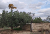 Non-developable land for sale on Camí dels Gorgs, Riudecanyes, ref: TR55925 photo