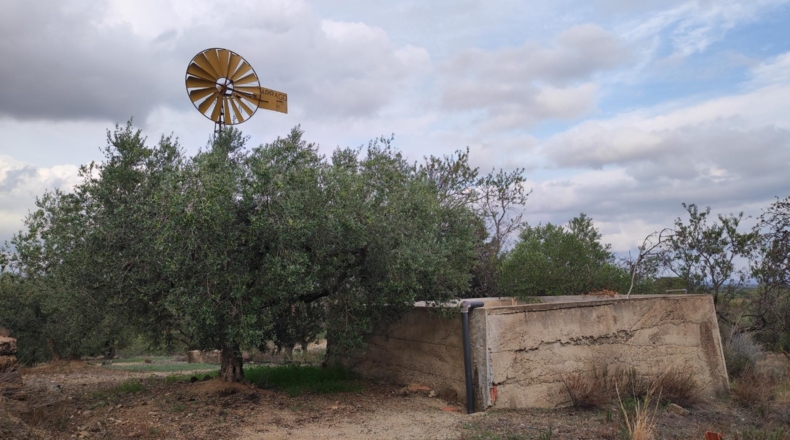 Tarragona - Riudecanyes - 13000m2