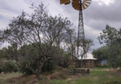 Non-developable land for sale on Camí dels Gorgs, Riudecanyes, ref: TR55925 photo