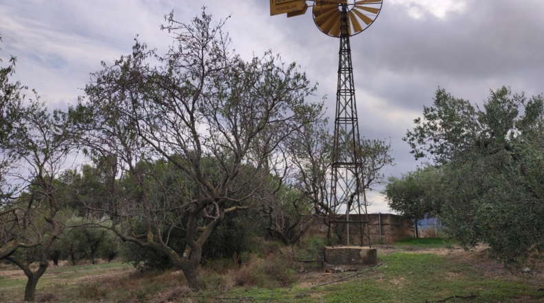 Tarragona - Riudecanyes - 13000m2