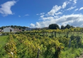 Sòl urbà en venda a la os olmos, Cambados, ref.: TR55929 foto