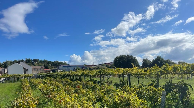 Pontevedra - Cambados - 345m2