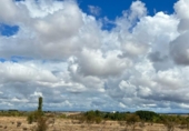 Non-developable land for sale on Polígono 117 parcela 91 los sapos onzonilla, Antimio de Abajo, ref: TR56049 photo