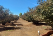 Terreny amb magatzem en venda a la camí mas de Colomí, Tarragona, ref.: TR56132 foto