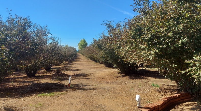 Tarragona - Tarragona - 80000m2