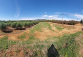 Terreny amb magatzem en venda a la camí mas de Colomí, Tarragona, ref.: TR56132 foto